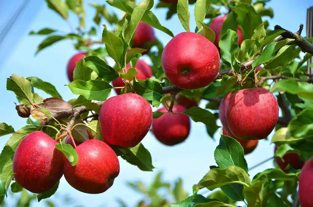 The perfect world of 100% pure & fresh sales leads. Does it exist?