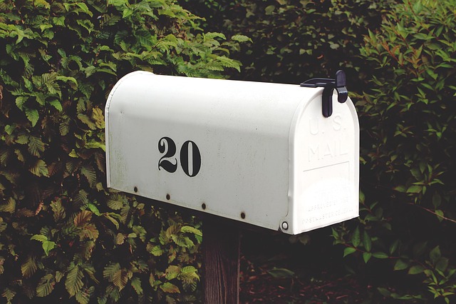 Should Prefer Direct Mail Marketing