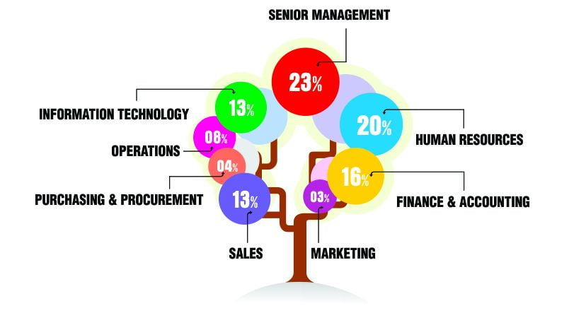 Saudi Arabia Email List Segmentation by Job Roles