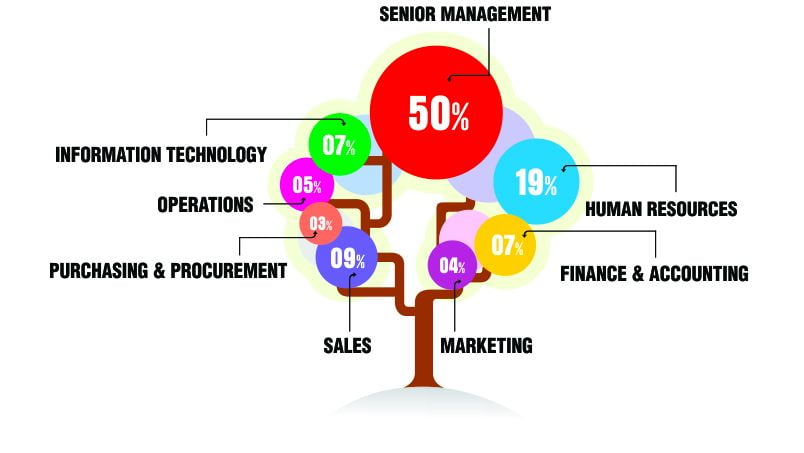 Netherlands Email Address List Segmentation by Job Roles