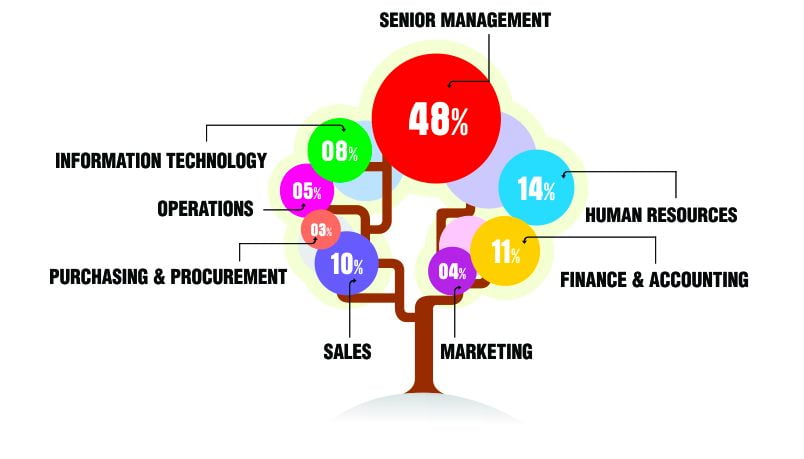 New Zealand Email Address List Segmentation by Job Roles