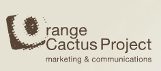 orange cactus project case study
