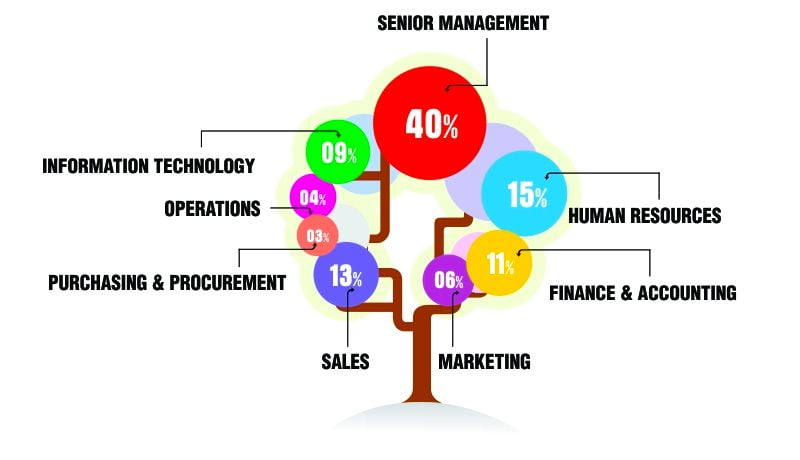 Vietnam Email Address List Segmentation by Job Roles