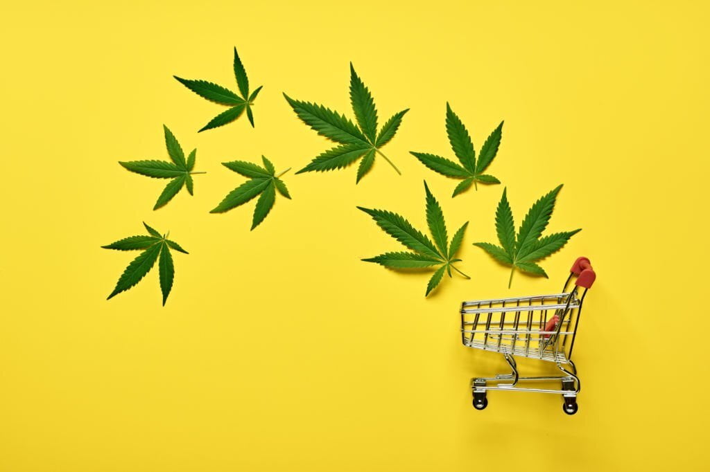 Cannabis Dispensary Marketing Agency