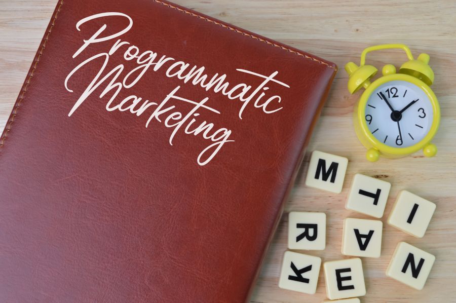 The Best Social Media Marketing Services for Building an Online Presence
